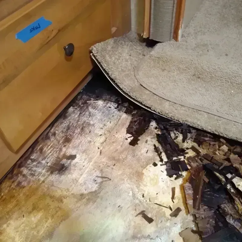 Wood Floor Water Damage in Zimmerman, MN